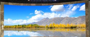 同是4K屏，為什么專業(yè)LED廣告機(jī)能比電視便宜30%？供應(yīng)鏈成本大揭秘”